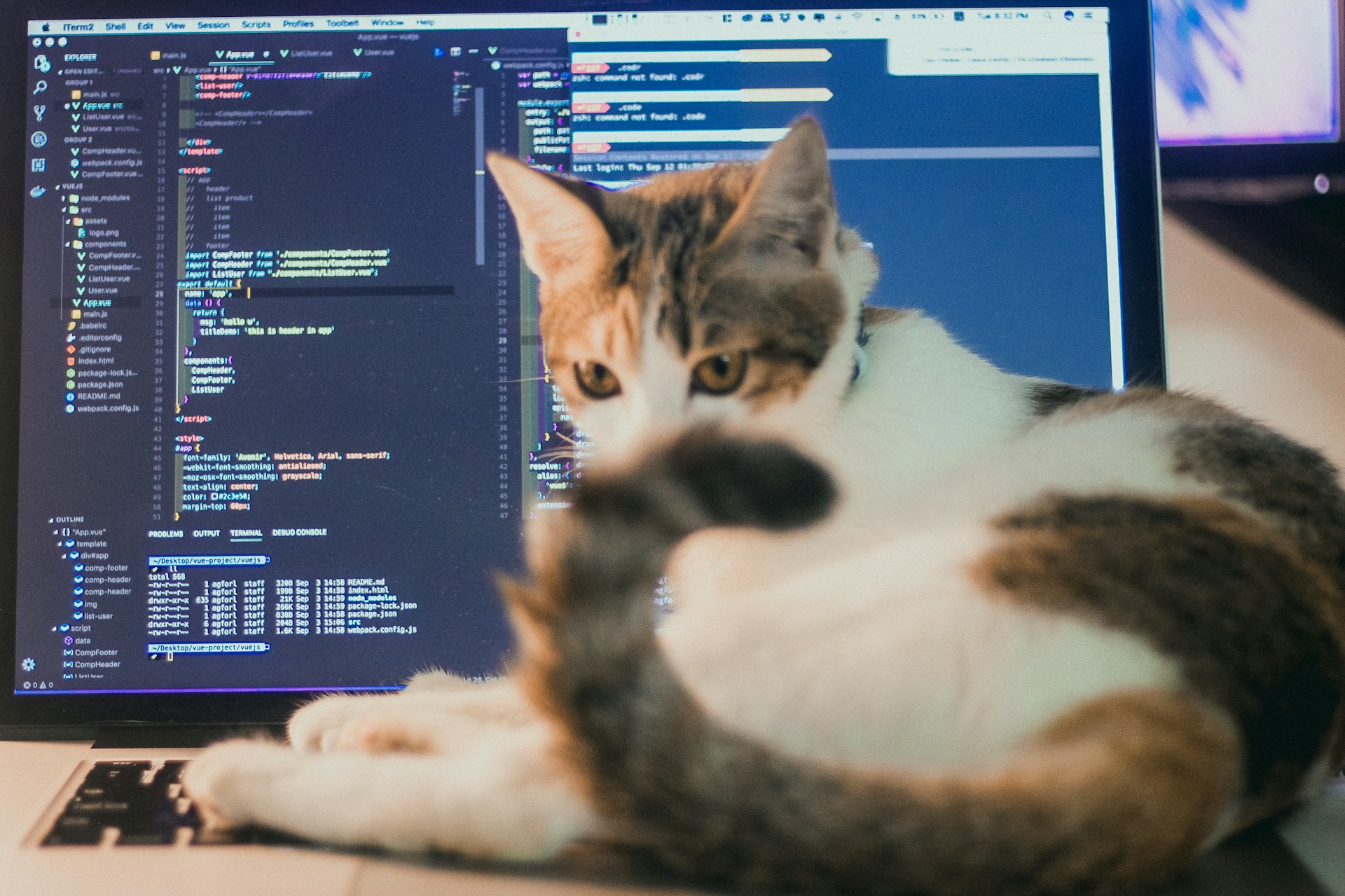 Curious cat with paw on laptop keyboard while code displays on screen