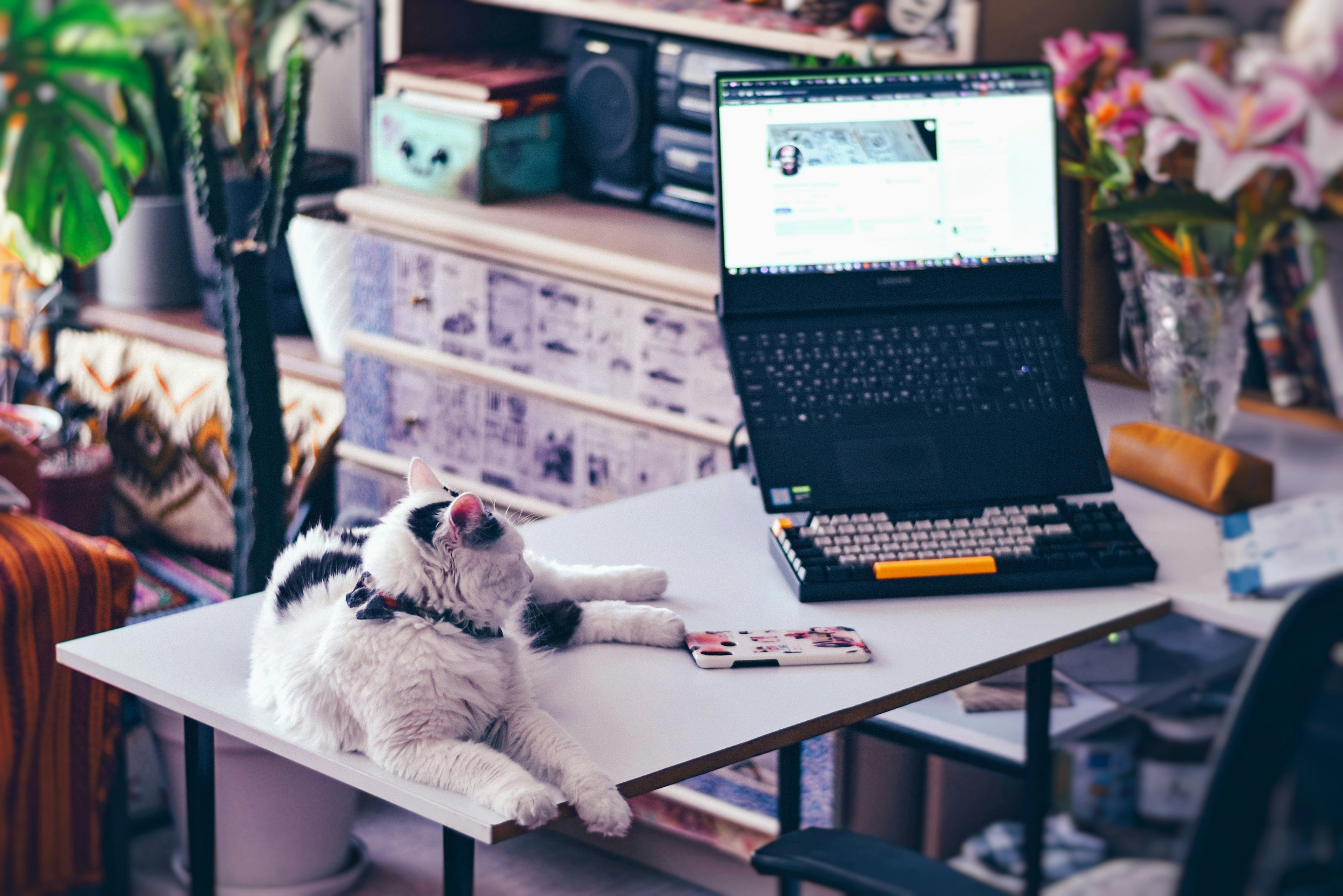 Cat observing data migration process and CSV parsing operations on developer's screen